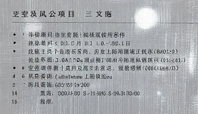 应用场景分析：定制化服务中的常见误区